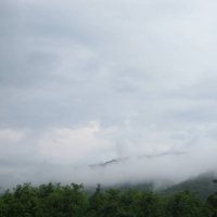 33-site9