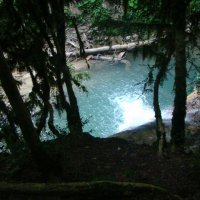 вода в ручье чистейшая