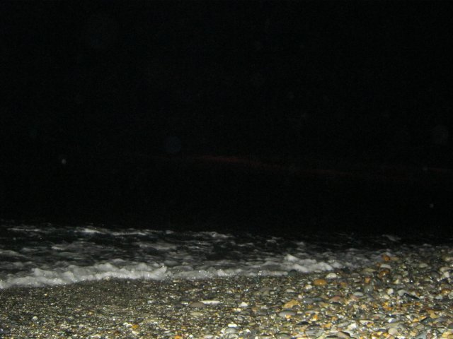 beach-site40