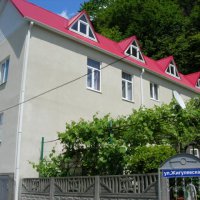 Под сенью субтропического леса… 