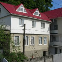 На фоне леса