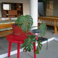 Столовая