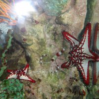 oceanarium-riviera20