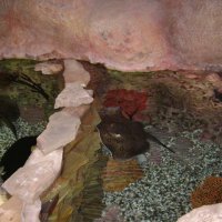 oceanarium-riviera8