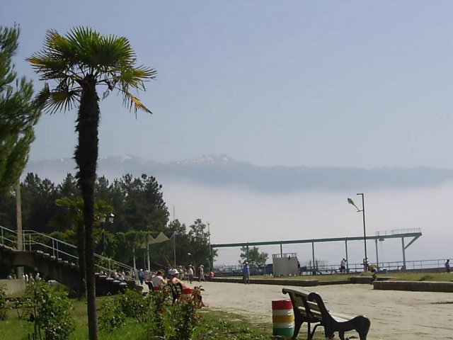 pitsunda11