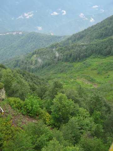 krasnaya-polyana147