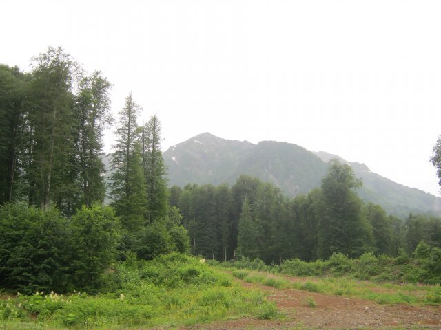 krasnaya-polyana197
