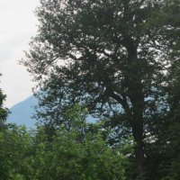 krasnaya-polyana183